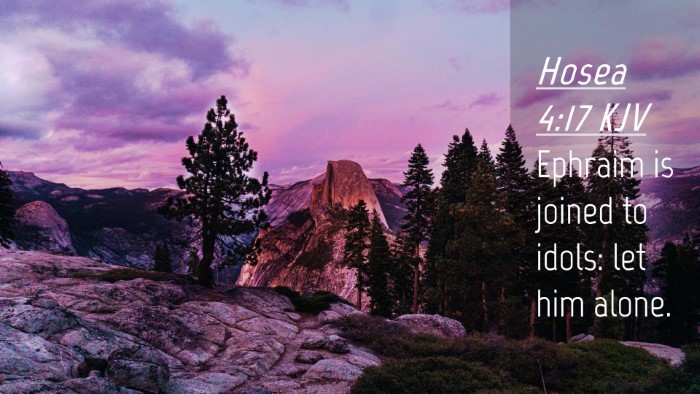 Picture 04 - Hosea 4:17 KJV Desktop Wallpaper - Ephraim is joined to idols: let him - Desktop Bible Verse Wallpaper