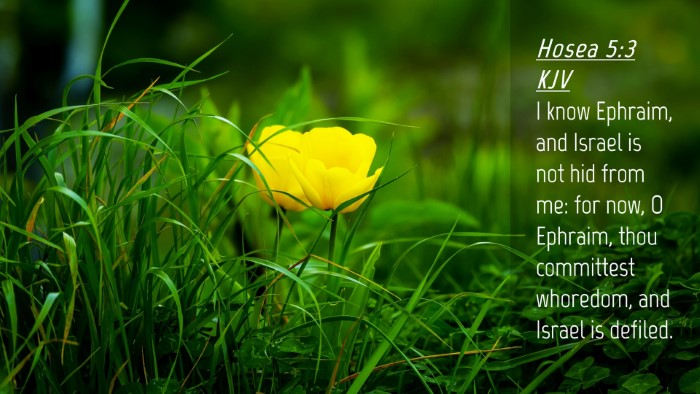 Picture 04 - Hosea 5:3 KJV Desktop Wallpaper - I know Ephraim, and Israel is not hid from me: - Desktop Bible Verse Wallpaper