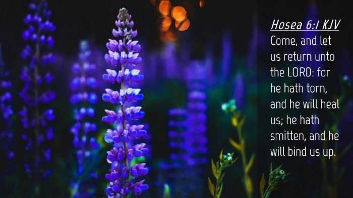 Picture 04 - Hosea 6:1 KJV Desktop Wallpaper - Come, and let us return unto the LORD: for he - Desktop Bible Verse Wallpaper