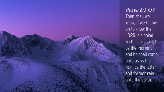 Picture 04 - Hosea 6:3 KJV Desktop Wallpaper - Then shall we know, if we follow on to know the - Desktop Bible Verse Wallpaper