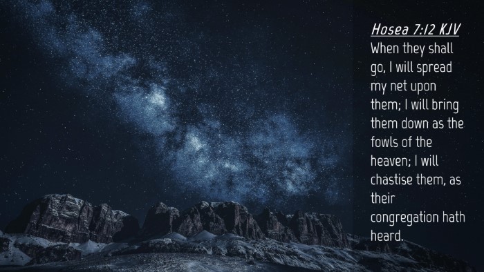 Picture 04 - Hosea 7:12 KJV Desktop Wallpaper - When they shall go, I will spread my net upon - Desktop Bible Verse Wallpaper