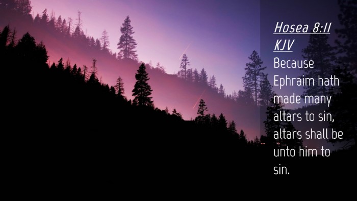 Picture 04 - Hosea 8:11 KJV Desktop Wallpaper - Because Ephraim hath made many altars to sin, - Desktop Bible Verse Wallpaper