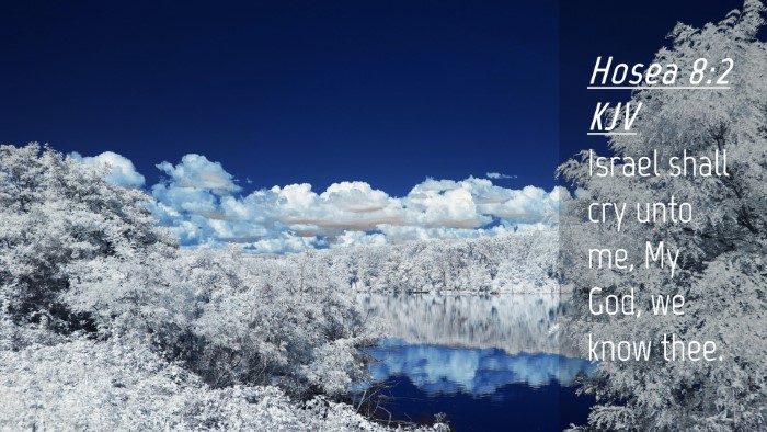Picture 04 - Hosea 8:2 KJV Desktop Wallpaper - Israel shall cry unto me, My God, we know - Desktop Bible Verse Wallpaper