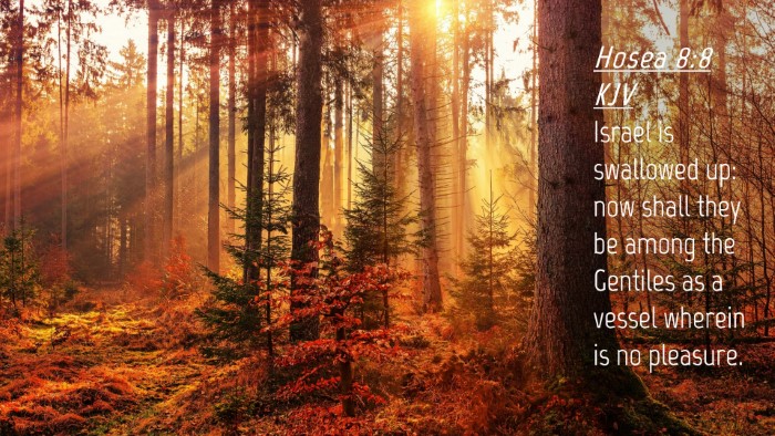 Picture 04 - Hosea 8:8 KJV Desktop Wallpaper - Israel is swallowed up: now shall they be among - Desktop Bible Verse Wallpaper
