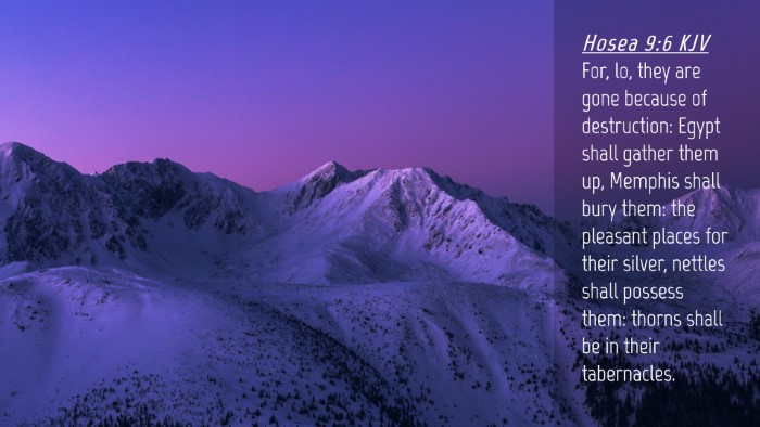 Picture 04 - Hosea 9:6 KJV Desktop Wallpaper - For, lo, they are gone because of destruction: - Desktop Bible Verse Wallpaper