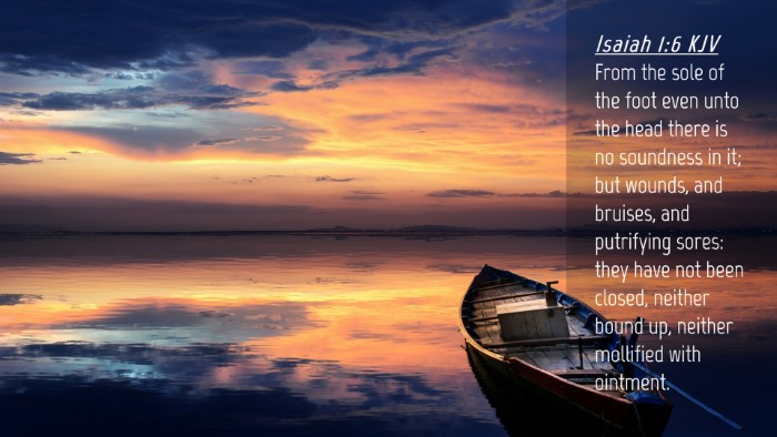 Picture 04 - Isaiah 1:6 KJV Desktop Wallpaper - From the sole of the foot even unto the head - Desktop Bible Verse Wallpaper