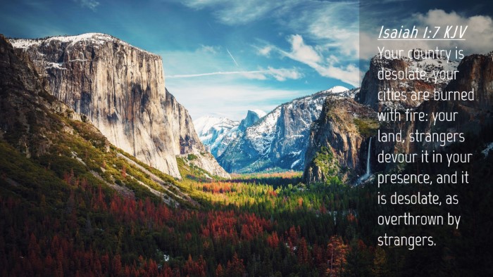 Picture 04 - Isaiah 1:7 KJV Desktop Wallpaper - Your country is desolate, your cities are burned - Desktop Bible Verse Wallpaper