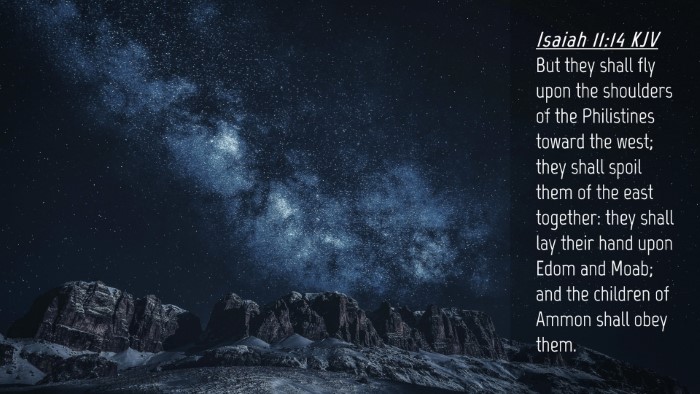 Picture 04 - Isaiah 11:14 KJV Desktop Wallpaper - But they shall fly upon the shoulders of the - Desktop Bible Verse Wallpaper