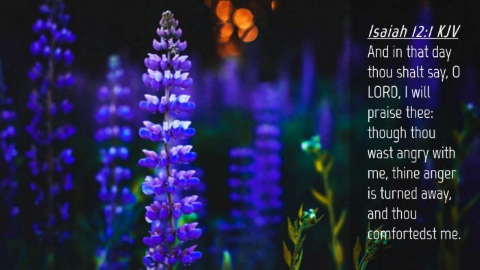 Picture 04 - Isaiah 12:1 KJV Desktop Wallpaper - And in that day thou shalt say, O LORD, I will - Desktop Bible Verse Wallpaper
