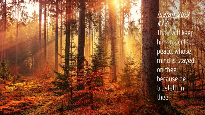 Picture 04 - Isaiah 26:3 KJV Desktop Wallpaper - Thou wilt keep him in perfect peace, whose mind - Desktop Bible Verse Wallpaper