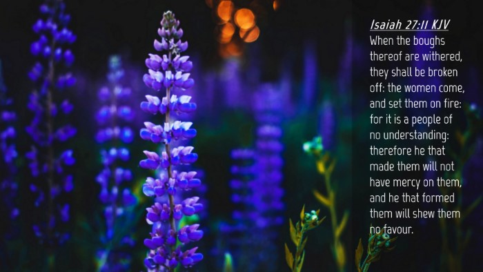 Picture 04 - Isaiah 27:11 KJV Desktop Wallpaper - When the boughs thereof are withered, they shall - Desktop Bible Verse Wallpaper