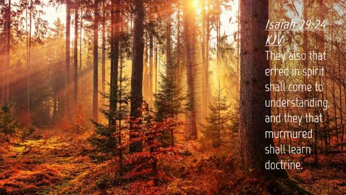 Picture 04 - Isaiah 29:24 KJV Desktop Wallpaper - They also that erred in spirit shall come to - Desktop Bible Verse Wallpaper