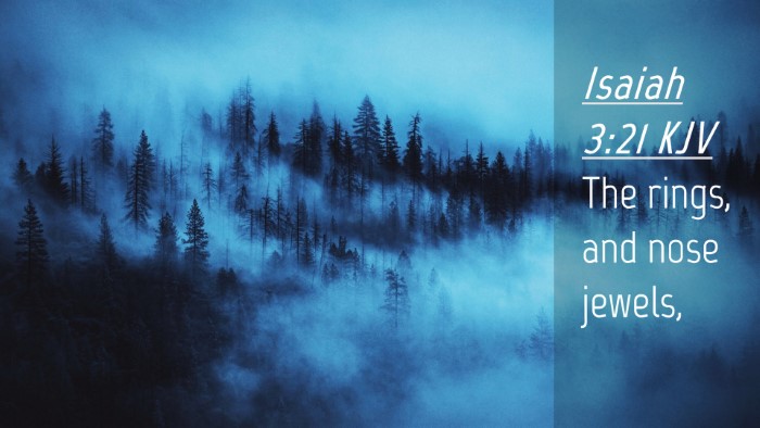 Picture 04 - Isaiah 3:21 KJV Desktop Wallpaper - The rings, and nose - Desktop Bible Verse Wallpaper