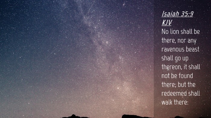 Picture 04 - Isaiah 35:9 KJV Desktop Wallpaper - No lion shall be there, nor any ravenous beast - Desktop Bible Verse Wallpaper