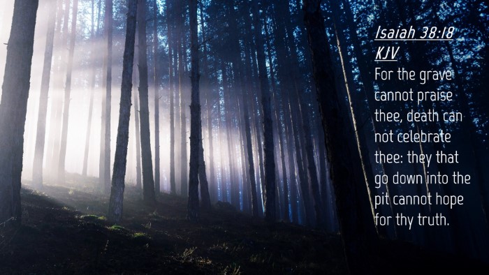Picture 04 - Isaiah 38:18 KJV Desktop Wallpaper - For the grave cannot praise thee, death can not - Desktop Bible Verse Wallpaper