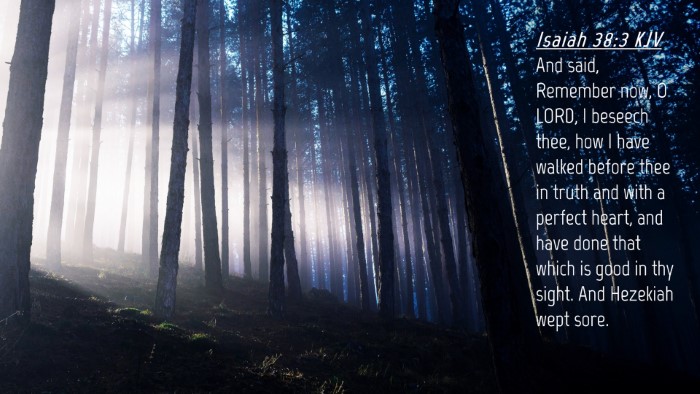 Picture 04 - Isaiah 38:3 KJV Desktop Wallpaper - And said, Remember now, O LORD, I beseech thee, - Desktop Bible Verse Wallpaper