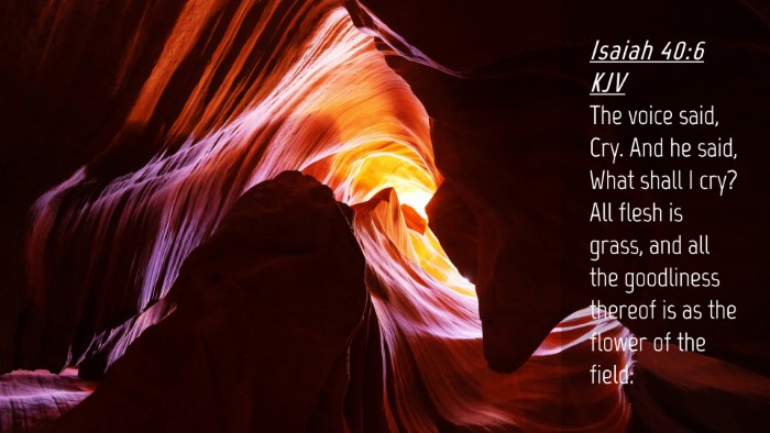 Picture 04 - Isaiah 40:6 KJV Desktop Wallpaper - The voice said, Cry. And he said, What shall I - Desktop Bible Verse Wallpaper