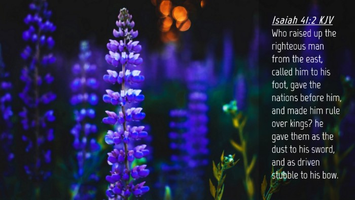 Picture 04 - Isaiah 41:2 KJV Desktop Wallpaper - Who raised up the righteous man from the east, - Desktop Bible Verse Wallpaper