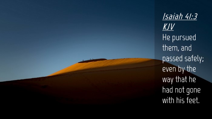 Picture 04 - Isaiah 41:3 KJV Desktop Wallpaper - He pursued them, and passed safely; even by the - Desktop Bible Verse Wallpaper