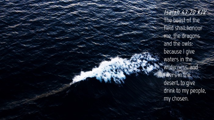 Picture 04 - Isaiah 43:20 KJV Desktop Wallpaper - The beast of the field shall honour me, the - Desktop Bible Verse Wallpaper