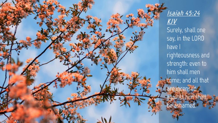 Picture 04 - Isaiah 45:24 KJV Desktop Wallpaper - Surely, shall one say, in the LORD have I - Desktop Bible Verse Wallpaper