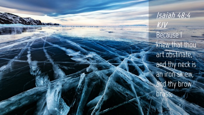 Picture 04 - Isaiah 48:4 KJV Desktop Wallpaper - Because I knew that thou art obstinate, and thy - Desktop Bible Verse Wallpaper