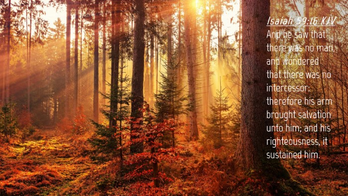 Picture 04 - Isaiah 59:16 KJV Desktop Wallpaper - And he saw that there was no man, and wondered - Desktop Bible Verse Wallpaper