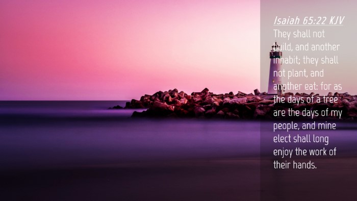 Picture 04 - Isaiah 65:22 KJV Desktop Wallpaper - They shall not build, and another inhabit; they - Desktop Bible Verse Wallpaper