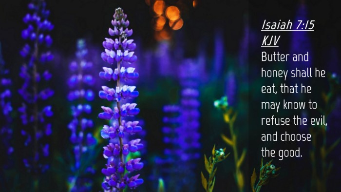 Picture 04 - Isaiah 7:15 KJV Desktop Wallpaper - Butter and honey shall he eat, that he may know - Desktop Bible Verse Wallpaper