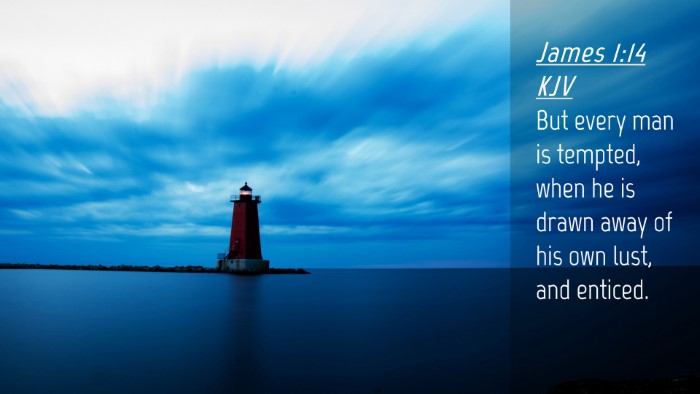 Picture 04 - James 1:14 KJV Desktop Wallpaper - But every man is tempted, when he is drawn away - Desktop Bible Verse Wallpaper