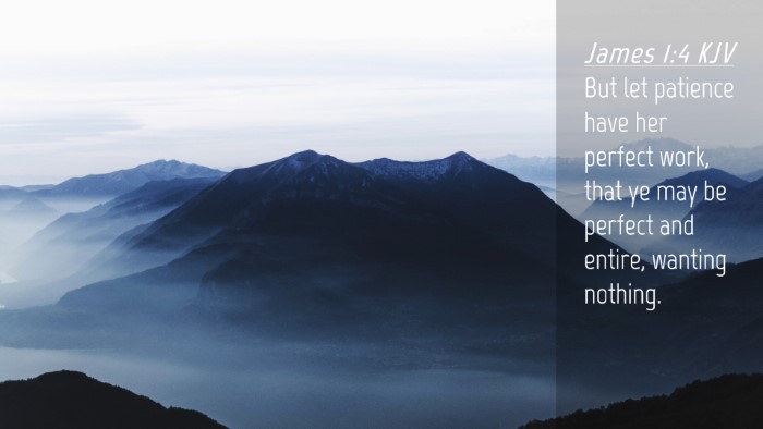 Picture 04 - James 1:4 KJV Desktop Wallpaper - But let patience have her perfect work, that ye - Desktop Bible Verse Wallpaper