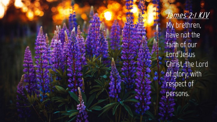Picture 04 - James 2:1 KJV Desktop Wallpaper - My brethren, have not the faith of our Lord Jesus - Desktop Bible Verse Wallpaper
