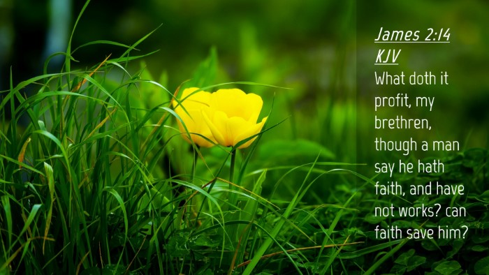 Picture 04 - James 2:14 KJV Desktop Wallpaper - What doth it profit, my brethren, though a man - Desktop Bible Verse Wallpaper