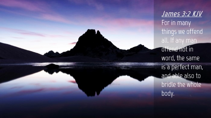 Picture 04 - James 3:2 KJV Desktop Wallpaper - For in many things we offend all. If any man - Desktop Bible Verse Wallpaper