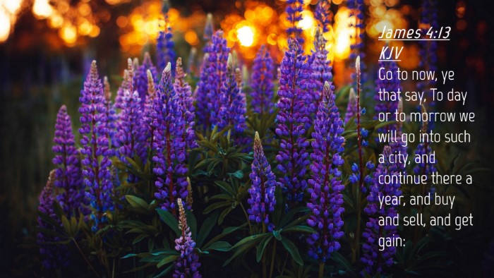 Picture 04 - James 4:13 KJV Desktop Wallpaper - Go to now, ye that say, To day or to morrow we - Desktop Bible Verse Wallpaper