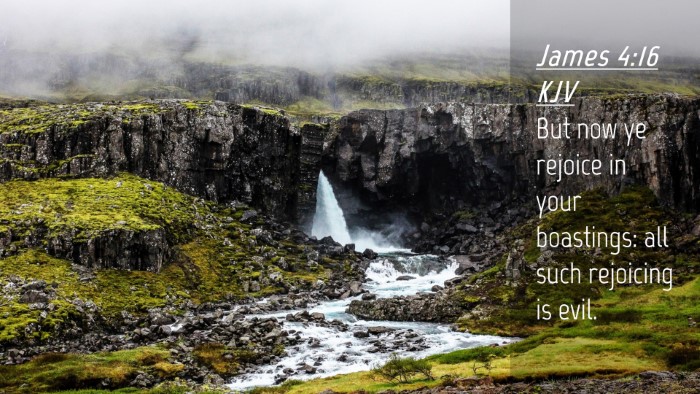 Picture 04 - James 4:16 KJV Desktop Wallpaper - But now ye rejoice in your boastings: all such - Desktop Bible Verse Wallpaper