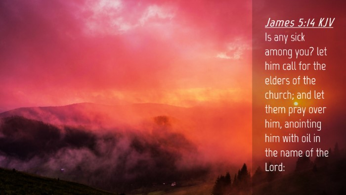 Picture 04 - James 5:14 KJV Desktop Wallpaper - Is any sick among you? let him call for the - Desktop Bible Verse Wallpaper