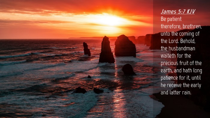 Picture 04 - James 5:7 KJV Desktop Wallpaper - Be patient therefore, brethren, unto the coming - Desktop Bible Verse Wallpaper