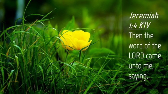 Picture 04 - Jeremiah 1:4 KJV Desktop Wallpaper - Then the word of the LORD came unto me, - Desktop Bible Verse Wallpaper