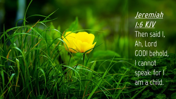 Picture 04 - Jeremiah 1:6 KJV Desktop Wallpaper - Then said I, Ah, Lord GOD! behold, I cannot - Desktop Bible Verse Wallpaper