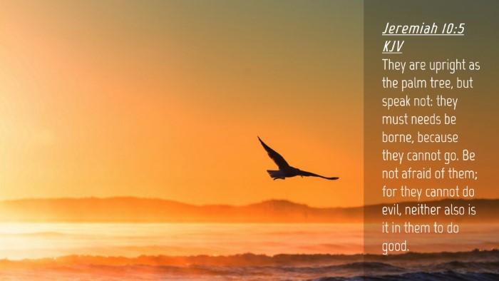 Picture 04 - Jeremiah 10:5 KJV Desktop Wallpaper - They are upright as the palm tree, but speak not: - Desktop Bible Verse Wallpaper