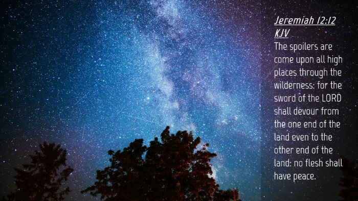 Picture 04 - Jeremiah 12:12 KJV Desktop Wallpaper - The spoilers are come upon all high places - Desktop Bible Verse Wallpaper