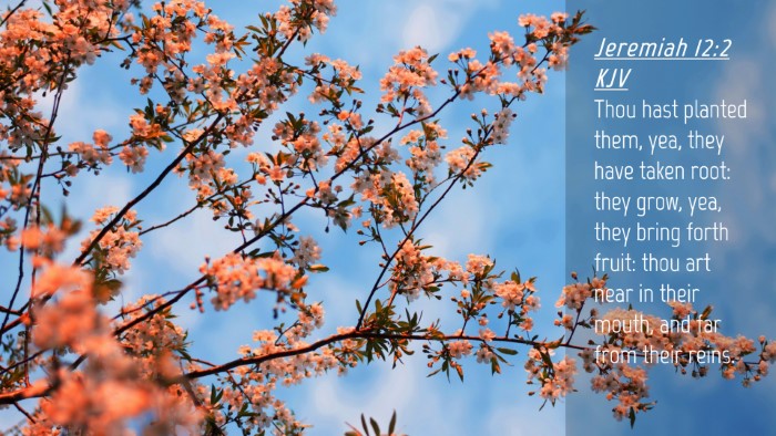 Picture 04 - Jeremiah 12:2 KJV Desktop Wallpaper - Thou hast planted them, yea, they have taken - Desktop Bible Verse Wallpaper