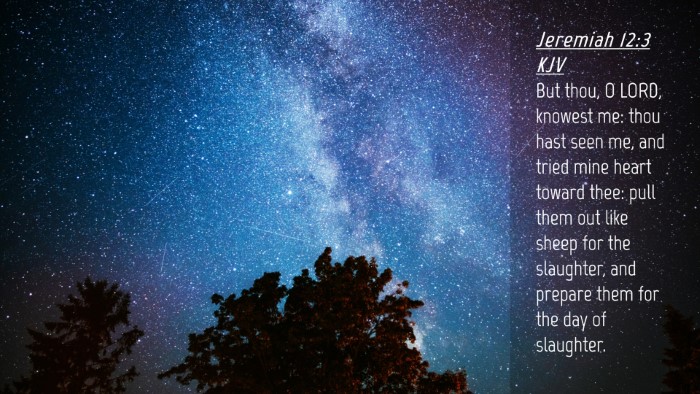 Picture 04 - Jeremiah 12:3 KJV Desktop Wallpaper - But thou, O LORD, knowest me: thou hast seen me, - Desktop Bible Verse Wallpaper