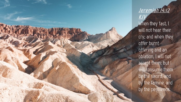 Picture 04 - Jeremiah 14:12 KJV Desktop Wallpaper - When they fast, I will not hear their cry; and - Desktop Bible Verse Wallpaper