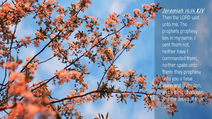 Picture 04 - Jeremiah 14:14 KJV Desktop Wallpaper - Then the LORD said unto me, The prophets prophesy - Desktop Bible Verse Wallpaper