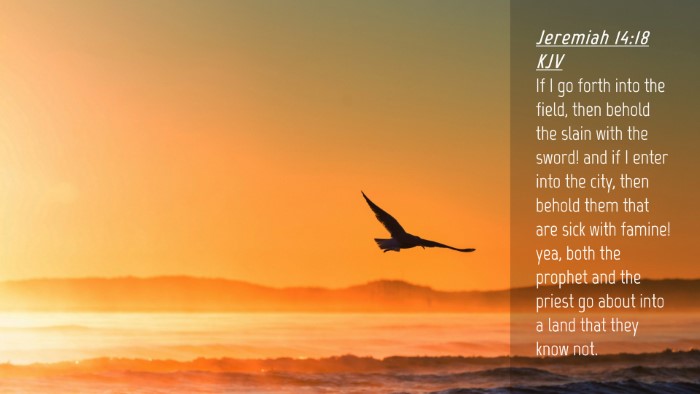 Picture 04 - Jeremiah 14:18 KJV Desktop Wallpaper - If I go forth into the field, then behold the - Desktop Bible Verse Wallpaper
