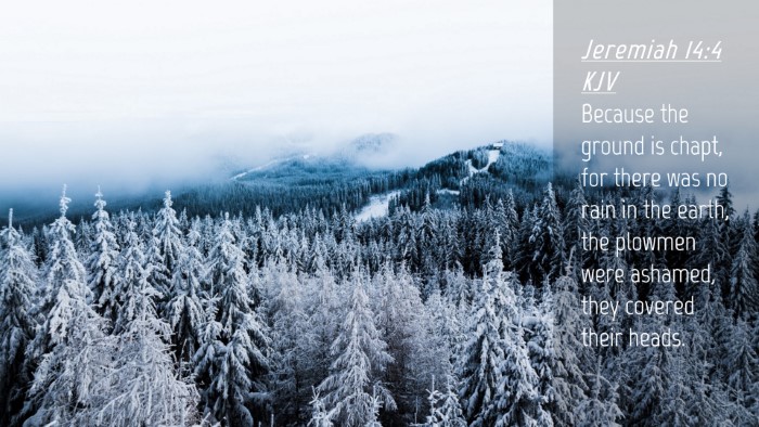 Picture 04 - Jeremiah 14:4 KJV Desktop Wallpaper - Because the ground is chapt, for there was no - Desktop Bible Verse Wallpaper