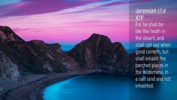 Picture 04 - Jeremiah 17:6 KJV Desktop Wallpaper - For he shall be like the heath in the desert, and - Desktop Bible Verse Wallpaper