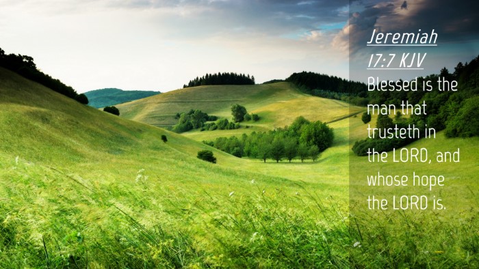 Picture 04 - Jeremiah 17:7 KJV Desktop Wallpaper - Blessed is the man that trusteth in the LORD, and - Desktop Bible Verse Wallpaper